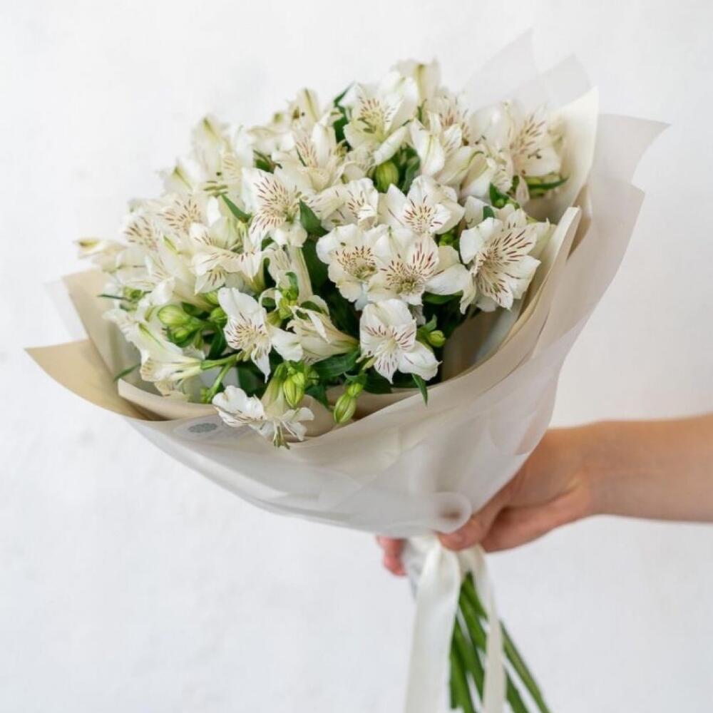 Alstromeria - Экзотик